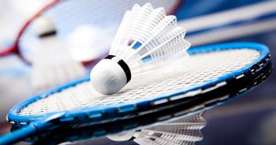 Badminton shuttlecock